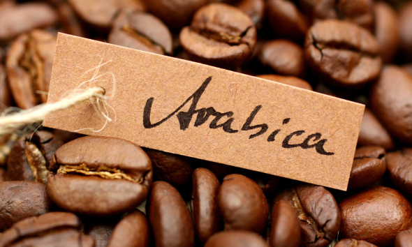 Coffe & Cocoa PT. Sinar Gowa Industri Mineral